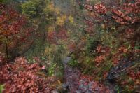 2014-10-16_Lamsenjoch_(459).JPG