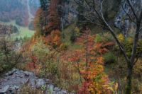 2014-10-16_Lamsenjoch_(461).JPG