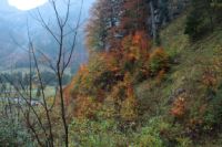 2014-10-16_Lamsenjoch_(464).JPG