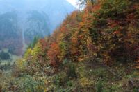 2014-10-16_Lamsenjoch_(467).JPG