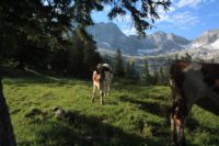 2015-07-02_1Lamsenjoch(182).JPG