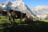 2015-07-02_1Lamsenjoch(185).JPG