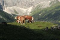 2015-07-02_1Lamsenjoch(186).JPG