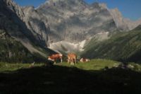 2015-07-02_1Lamsenjoch(192).JPG