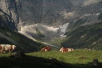 2015-07-02_1Lamsenjoch(193).JPG