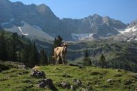 2015-07-02_1Lamsenjoch(273).JPG