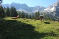 2015-07-02_1Lamsenjoch(275).JPG
