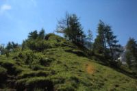 2015-07-02_1Lamsenjoch(293).JPG