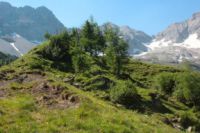 2015-07-02_1Lamsenjoch(301).JPG