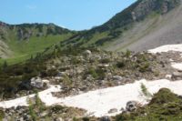 2015-07-02_1Lamsenjoch(439).JPG