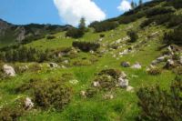 2015-07-02_1Lamsenjoch(509).JPG