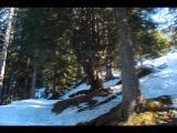 2016-01-30_Pleisenspitze_(194).JPG