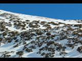 2016-01-30_Pleisenspitze_(336).JPG