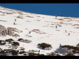 2016-01-30_Pleisenspitze_(362).JPG