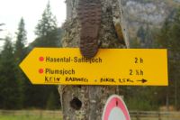2014-10-08_Plumsjoch_(102).JPG
