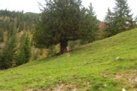 2014-10-08_Plumsjoch_(167).JPG