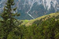 2014-10-08_Plumsjoch_(311).JPG