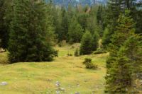 2014-10-08_Plumsjoch_(435)b.JPG