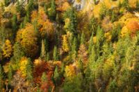 2014-10-08_Plumsjoch_(466)b.JPG