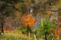 2014-10-08_Plumsjoch_(468).JPG