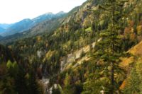 2014-10-08_Plumsjoch_(475).JPG