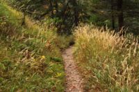 2014-10-08_Plumsjoch_(495).JPG