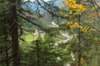 2014-10-08_Plumsjoch_(500).JPG
