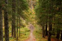 2014-10-08_Plumsjoch_(501).JPG