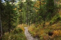 2014-10-08_Plumsjoch_(515).JPG