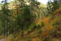 2014-10-08_Plumsjoch_(516)b.JPG