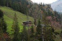 2014-10-11_Kompar-Plums_(170).JPG