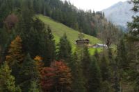 2014-10-11_Kompar-Plums_(173).JPG