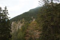 2014-10-11_Kompar-Plums_(233).JPG