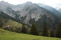 2014-10-11_Kompar-Plums_(245).JPG