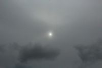 2014-10-11_Kompar-Plums_(332).JPG
