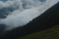 2014-10-11_Kompar-Plums_(459)b.JPG