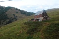 2014-10-11_Kompar-Plums_(496).JPG
