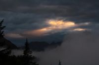 2014-10-11_Kompar-Plums_(521).JPG