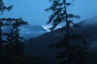 2014-10-11_Kompar-Plums_(583).JPG