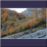 R.Rau Rontal