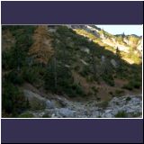 R.Rau Rontal