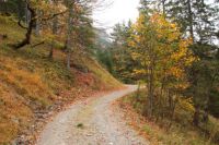 2014-10-15_Kuhjoch_(219).JPG