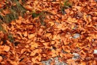 2014-10-15_Kuhjoch_(220).JPG