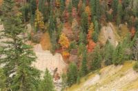 2014-10-15_Kuhjoch_(292).JPG