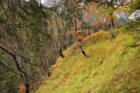 2014-10-15_Kuhjoch_(342).JPG