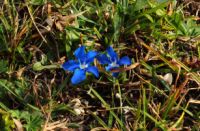 2014-10-15_Kuhjoch_(439)b.JPG