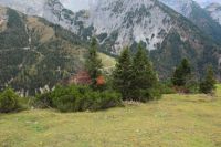 2014-10-15_Kuhjoch_(482).JPG