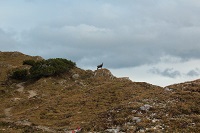 2014-10-15_Kuhjoch_(569).JPG