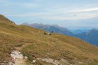 2014-10-15_Kuhjoch_(638).JPG