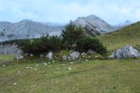 2014-10-15_Kuhjoch_(724).JPG